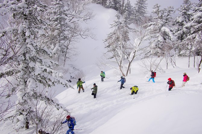 Fluffy New Snow and the Earth Beating, Goshougake Oyunuma Snowshoeing Tour - Last Words