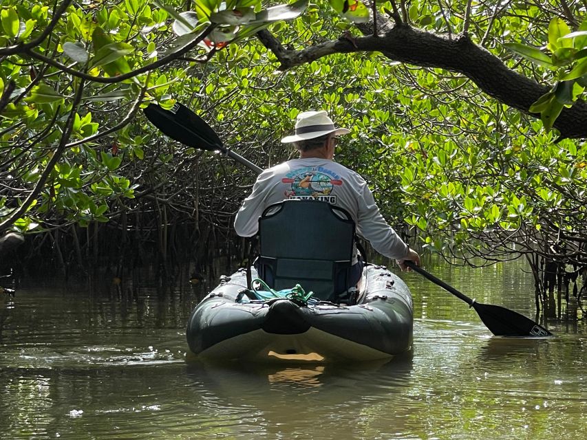 Fort Pierce: 6-hr Mangroves, Coastal Rivers & Wildlife in FL - Last Words