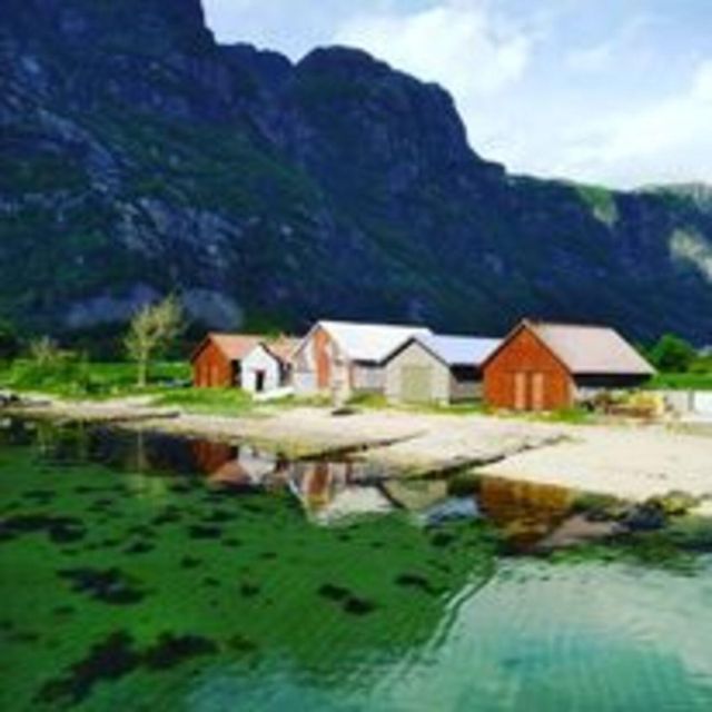 Frafjord Paddling and Månafossen Waterfall Hike Tour - Tour Safety and Equipment Provided