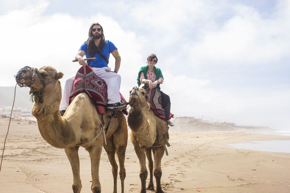 From Agadir: Camel Ride and Flamingo Trek - Last Words