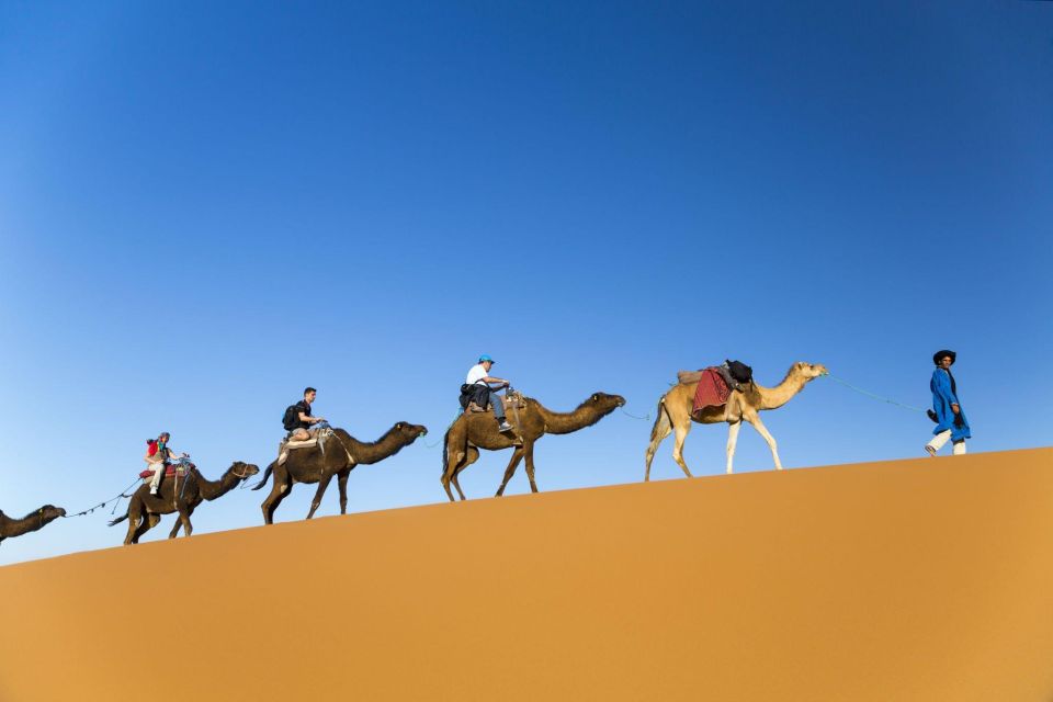 From Agadir: Camel Ride and Flamingo Trek - Common questions