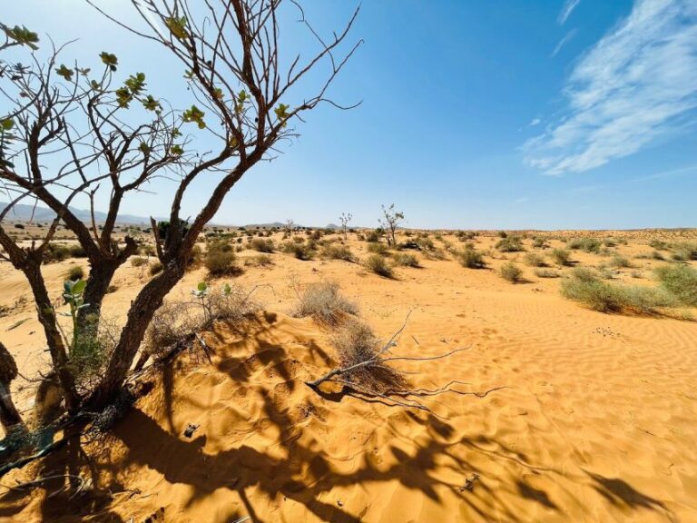 From Agadir: Jeep Desert Safari With Lunch and Camel Ride