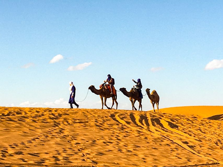 From Agadir: Sahara Desert Buggy Tour With Snack & Transfer - Last Words