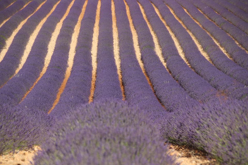 From Aix-En-Provence: Lavender Experience & Gorges Du Verdon - Last Words