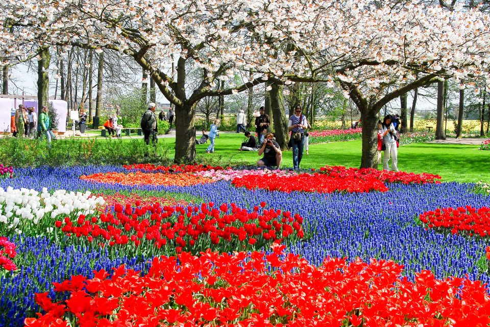 From Amsterdam: Keukenhof Flower Park Transfer With Ticket - Common questions