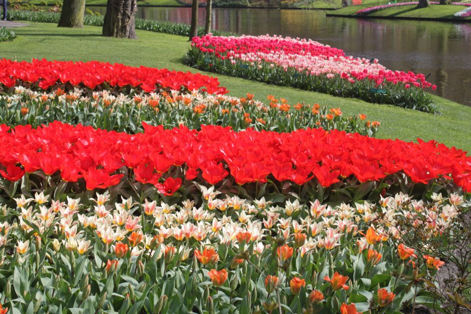 From Amsterdam: Tulip Tour Keukenhof & City Tour Delft - Last Words