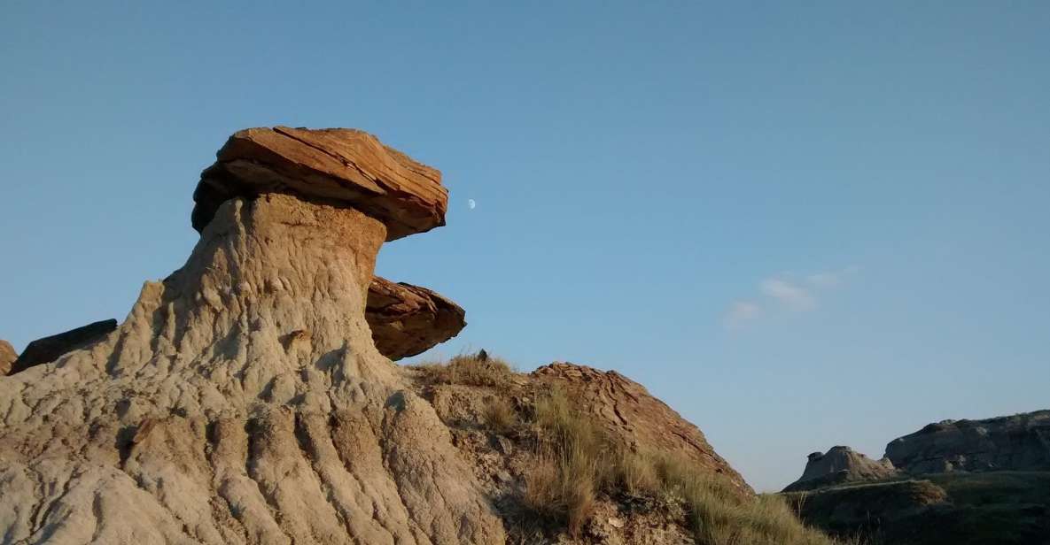 From Calgary: Canadian Badlands Private Geological Tour - Tour Highlights