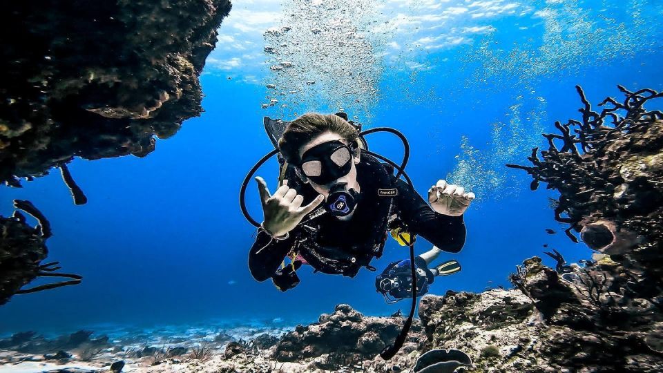 From Cozumel: Double Tank Scuba Diving for Certified Divers - Common questions