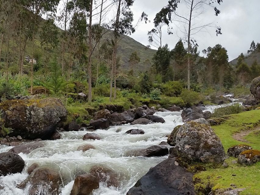 From Cusco: 4-Day Alternative Lares Trail to Machu Picchu - Last Words