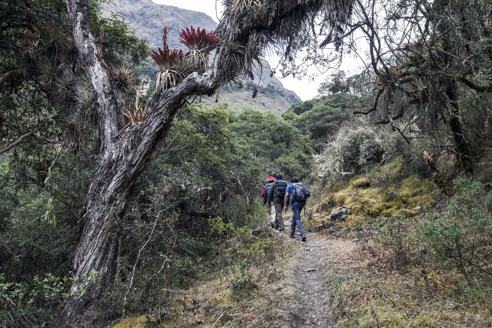 From Cusco: Choquechaca and Pumamarca Private Full-Day Hike - Common questions