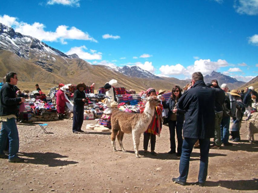 From Cusco: Puno and Uros Islands 2-Day Trip - Last Words