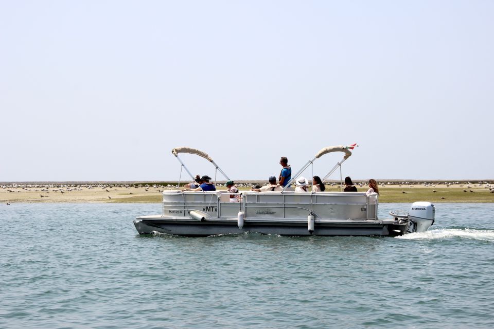 From Faro: 2-Hour Guided Bird Watching Boat Trip - Common questions