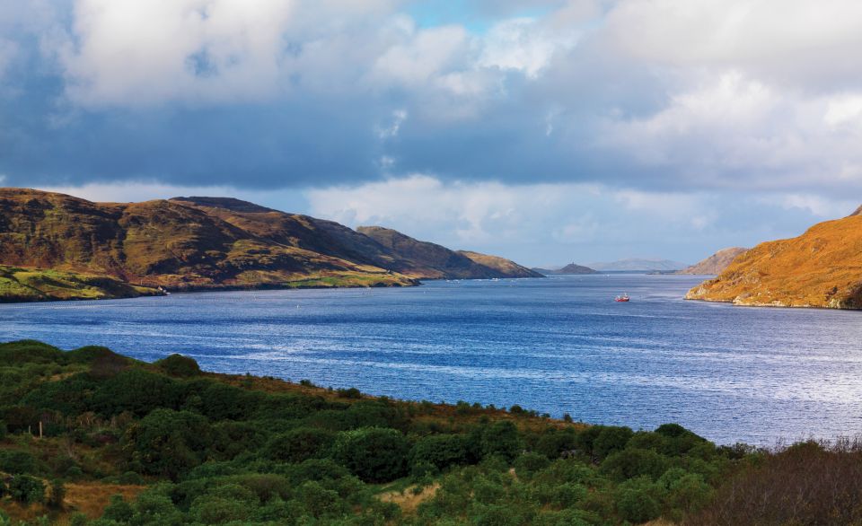 From Galway: Connemara National Park Full Day Tour - Last Words
