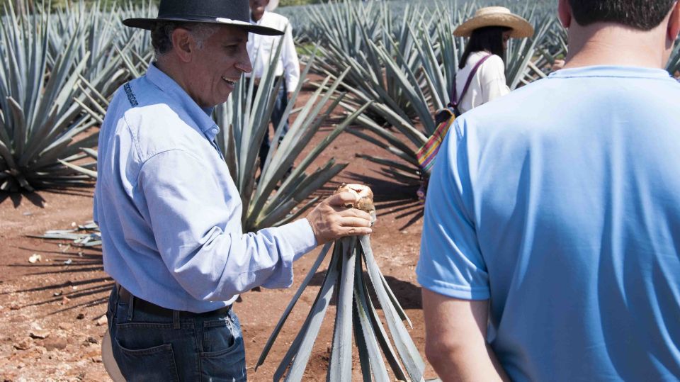 From Guadalajara: Pyramids & Jose Cuervo Tequila Tour - Cultural Insights