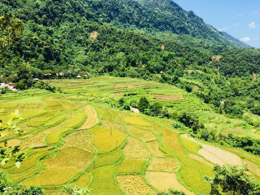 From Hanoi to Pu Luong: 2-Day Trip in Ethnic Villages - Common questions