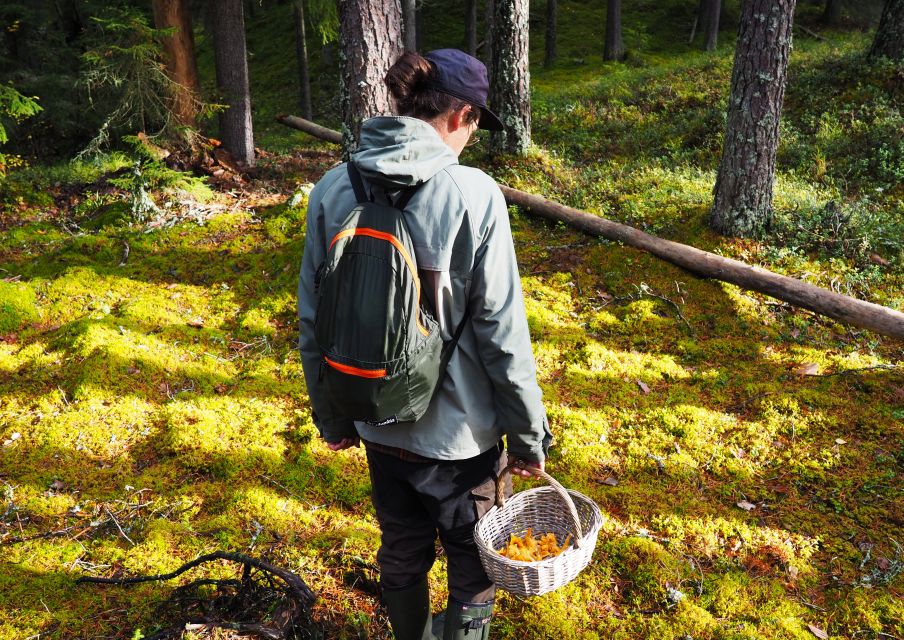 From Helsinki: Mushroom Hunting Tour in a National Park - Last Words