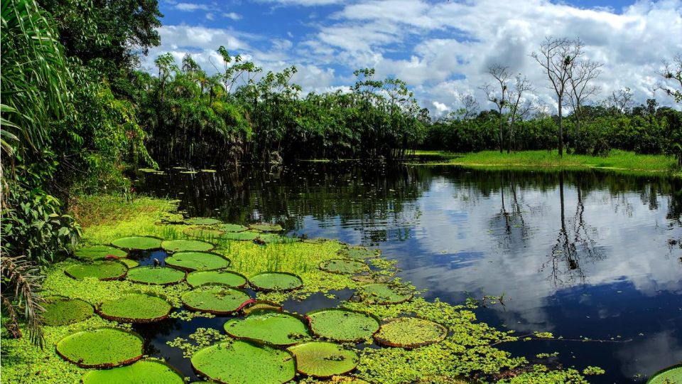 From Iquitos: 4 Days/3 Nights in Amazonian Lodge With Meals - Additional Information & Booking Details