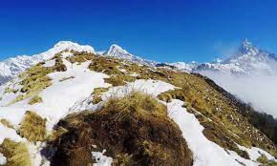 From Kathmandu :Budget 7 Night 8 Days Mardi Himal Trek - Itinerary