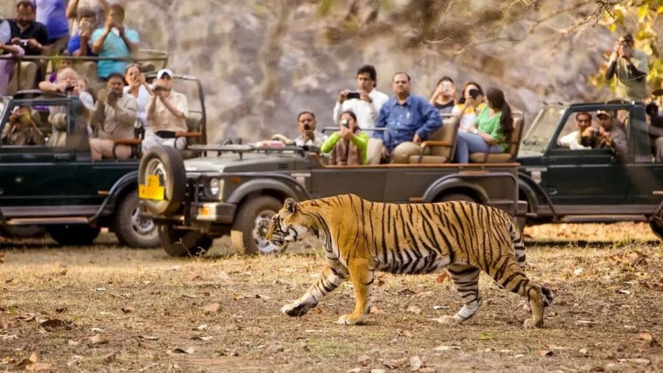 From Kathmandu: Trishuli River Rafting With Chitwan Tour - Last Words