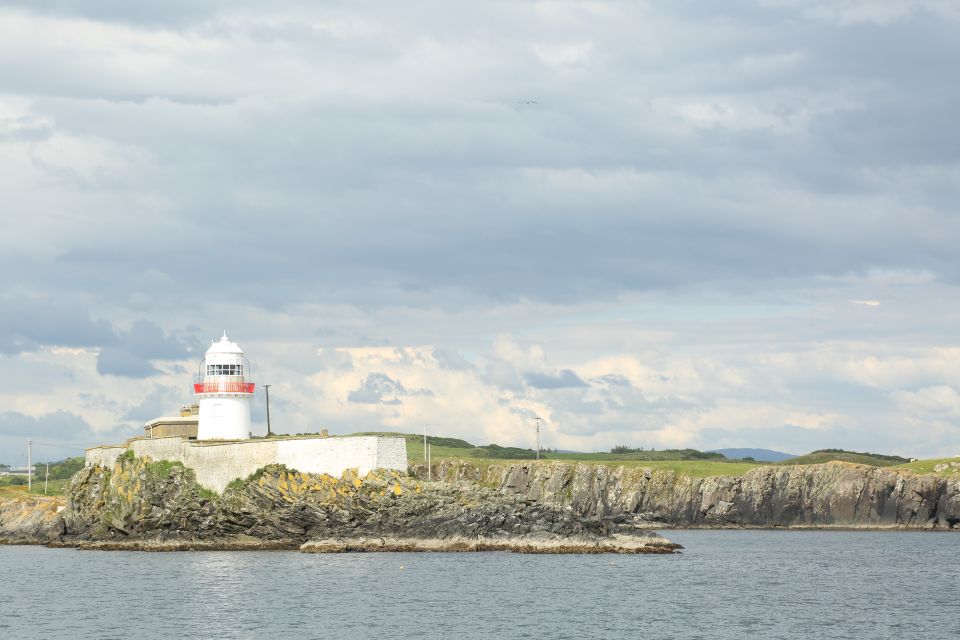 From Killybegs: Sliabh Liag Cliffs Coastal Boat Tour - Common questions