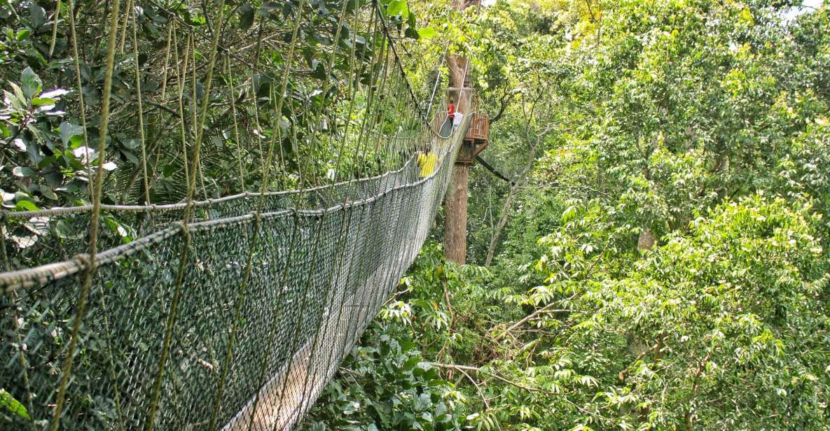 From Kuala Lumpur: Taman Negara National Park Day Tour - Last Words