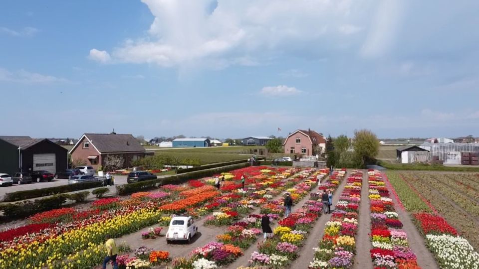 From Lisse: Flower Bike Tour Along Keukenhof and De Tulperij - Common questions