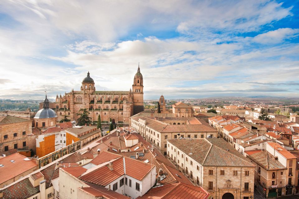 From Madrid: Day Trip to Ávila and Salamanca W/ Guided Tour - Last Words
