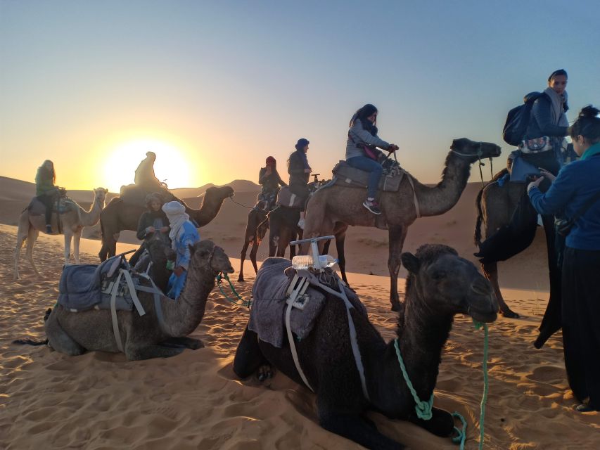 From Marrakech: 3-Day Trip to Fes via Merzouga Desert - Additional Trip Details