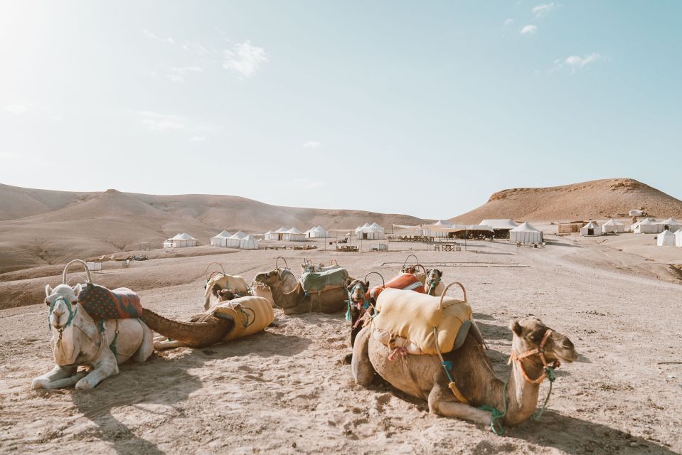 From Marrakech: Agafay Desert Sunset Dinner With Live Music - Traditional Moroccan Dinner Details