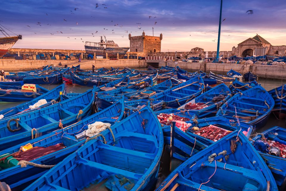From Marrakech: Essaouira & Atlantic Coast Full-Day Trip - Tips for the Trip