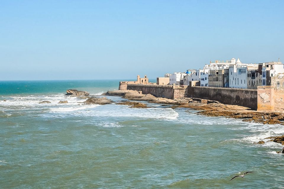 From Marrakech: Essaouira Full-Day Trip - Service Ratings