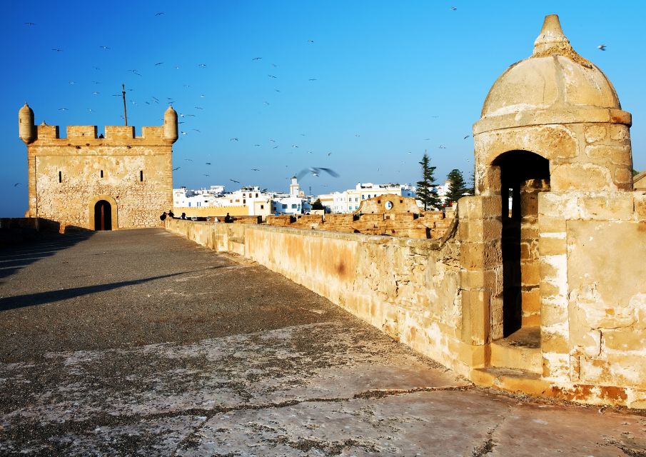 From Marrakech: Full-Day Private Trip to Essaouira - Last Words