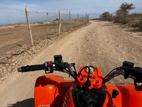 From Marrakech Tours: 2 Hours Desert Quad Bike Adventure - Common questions