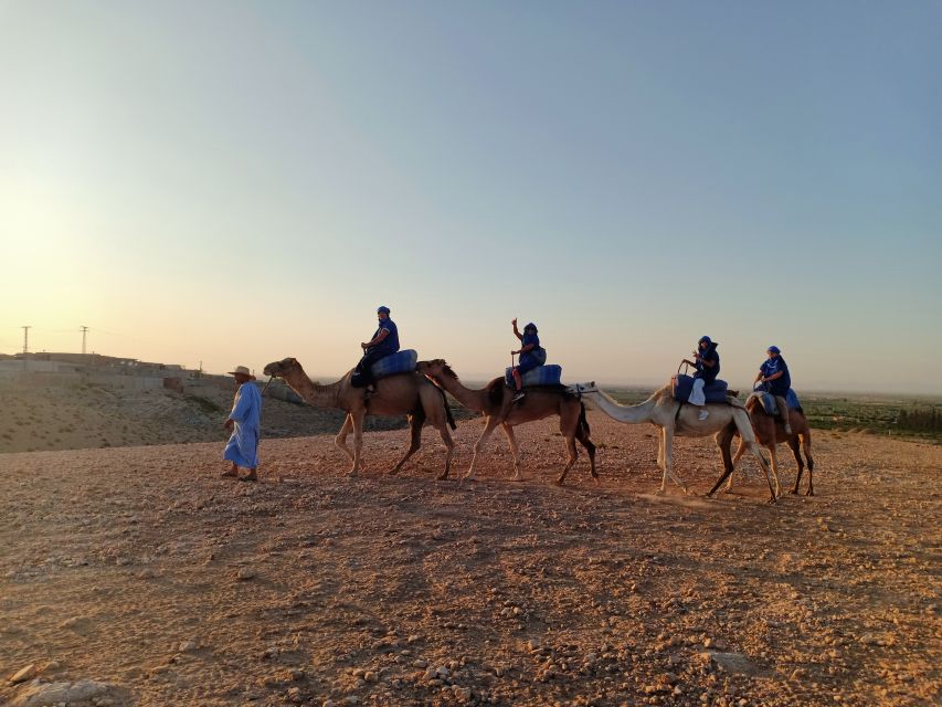 From Marrakesh: Sunset Camel Ride in the Agafay Desert - Last Words