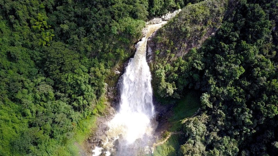 From Medellín: Dream Hammocks, Zipline, & Waterfall Day Trip - Hammock Relaxation