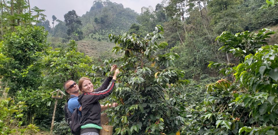 From Medellin: Private Envigado Coffee Tour With Tastings - Common questions