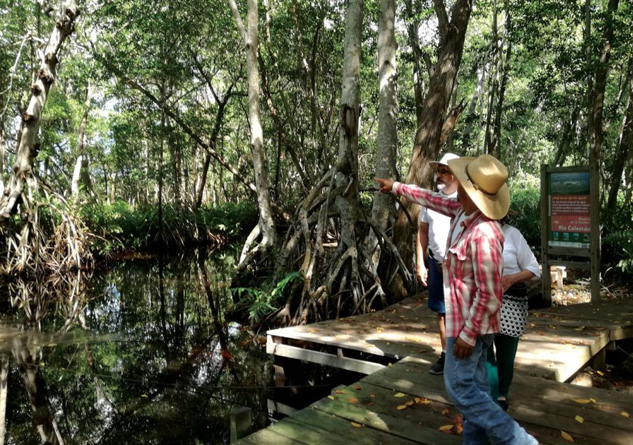 From Mérida: Ria Celestun Biosphere Reserve Tour - Itinerary Information