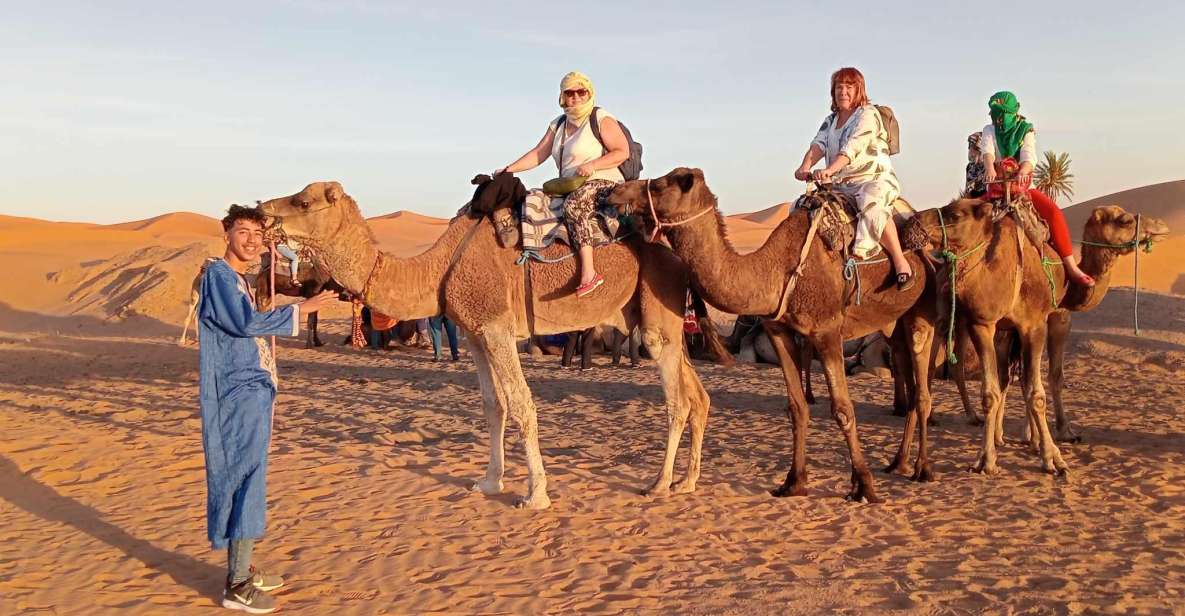 From Merzouga: Overnight Camel Trek Over Erg Chebbi Dunes - Travel Tips