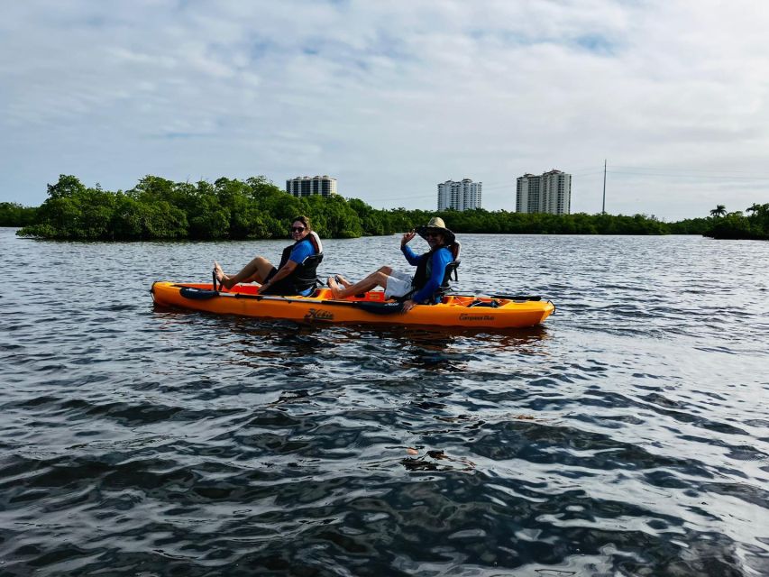 From Naples, FL: Marco Island Mangroves Kayak or Paddle Tour - Last Words