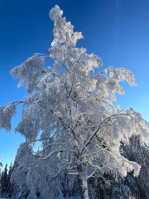 From Oslo: Oslomarka Forest Guided Snowshoeing Tour - Common questions