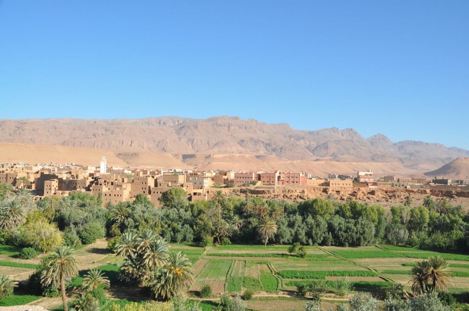 From Ouarzazate: Erg Chegaga Sahara Desert Tour - 2 Days - Booking Details & Secure Reservations