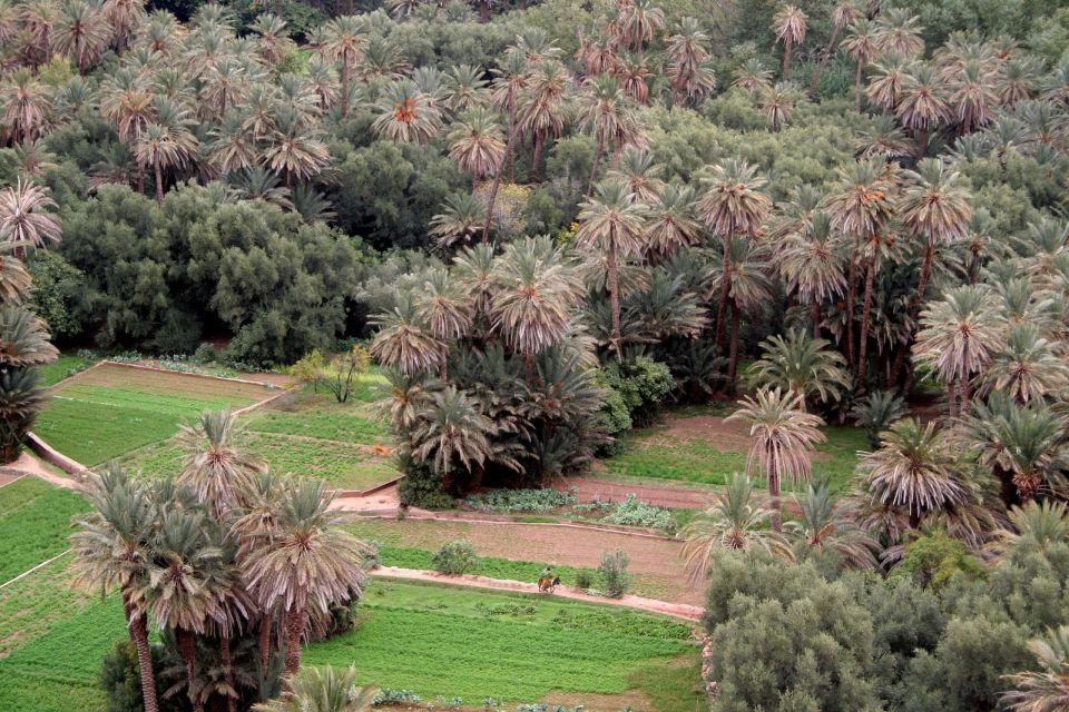 From Ouarzazate: Todra Gorges and 1000 Casbahs Road Day Tour - Return to Ouarzazate