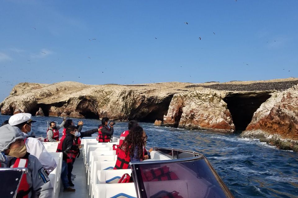 From Paracas: Ballestas Islands & Paracas National Reserve - Tips for Visitors