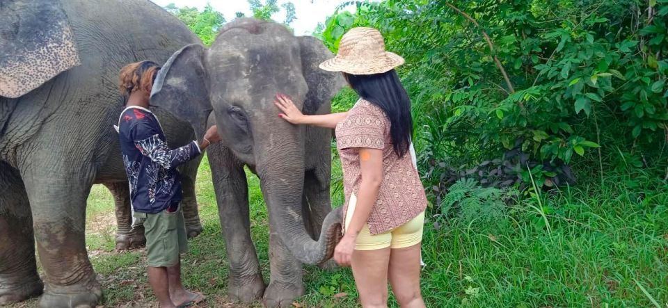 From Phuket: Ethical Elephant Interactive Trek and Tour - Limited Group Size for Better Experience