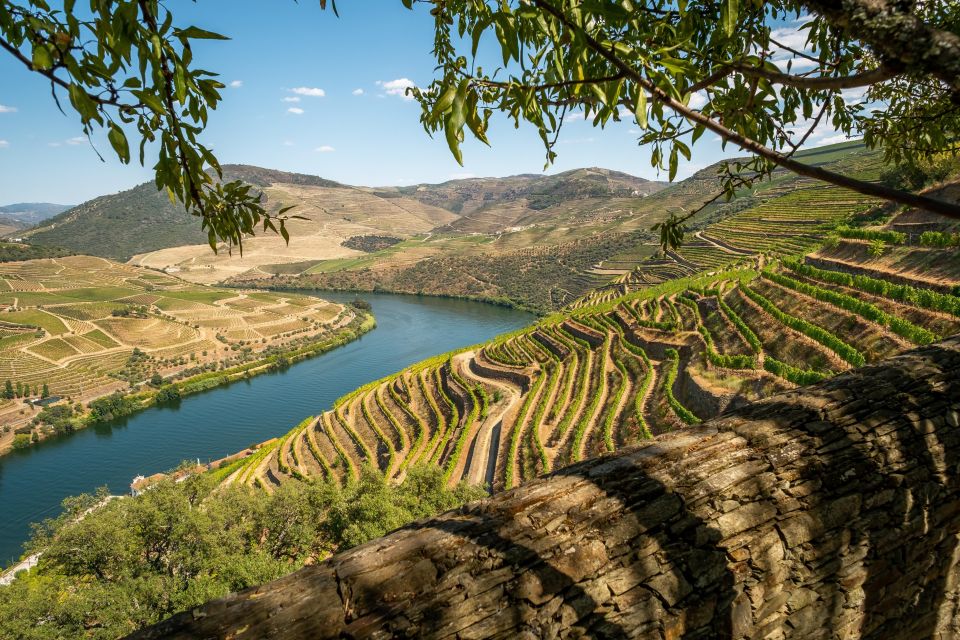 From Porto: Douro Valley Wine Tour, Tastings, Lunch & Cruise - Common questions