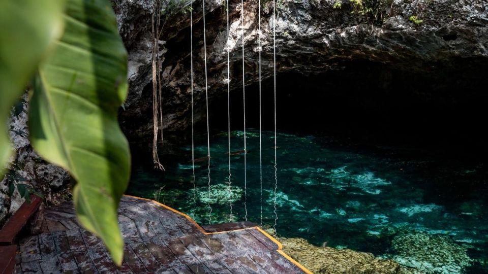 From Riviera : Kaan Luum With Cenotes & Lunch ECO - Last Words