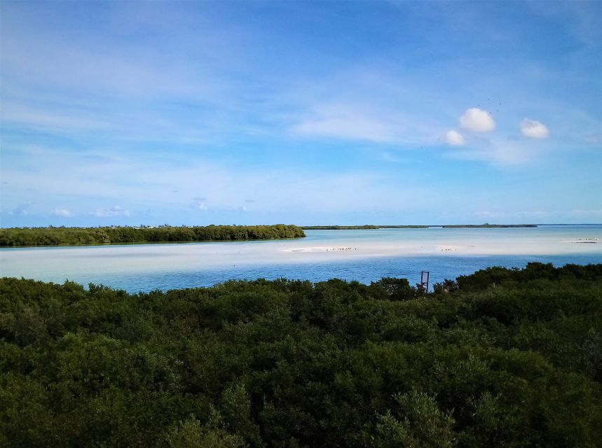 From Riviera Maya: Holbox Full-Day Tour With Lunch - Last Words