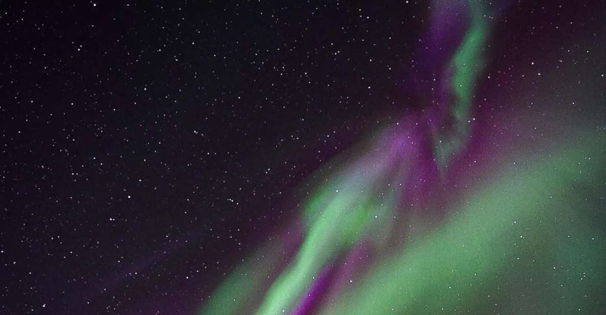 From Rovaniemi: Aurora Dreamscape Tour in the Wild - Common questions