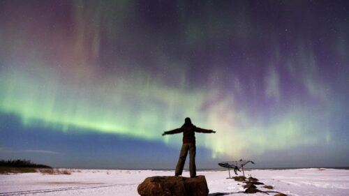 From Rovaniemi: Northern Lights Van Tour With Photos - Common questions