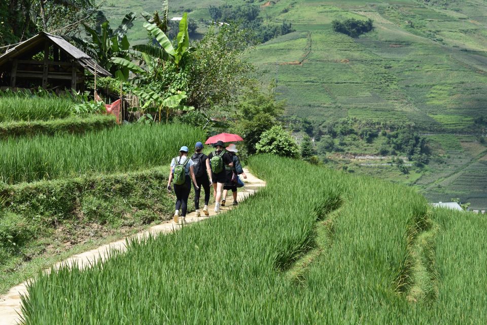 From Sapa: 1-Day Trekking Through Terraces Rice Fields - Last Words